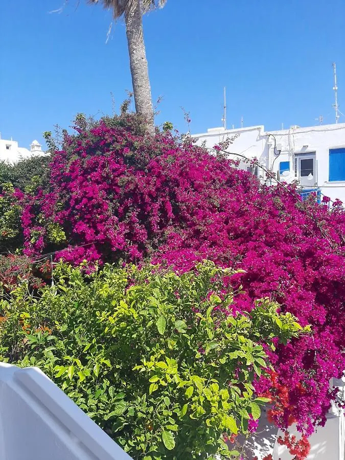 Appartamento Sole Mykonos Mykonos Town